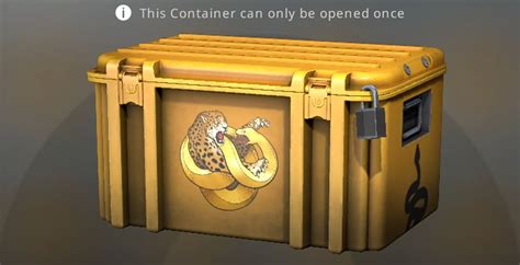 15 Best Cases To Open in CS:GO [2023] .
